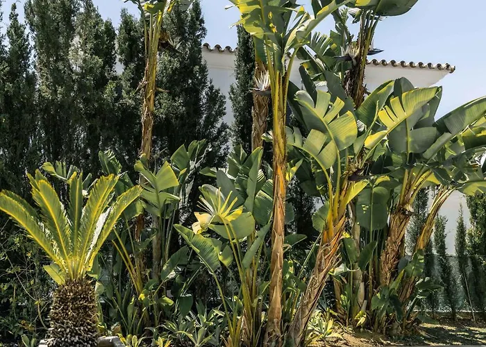 Villa Nord Elegant Getaway Private Pool Marbella